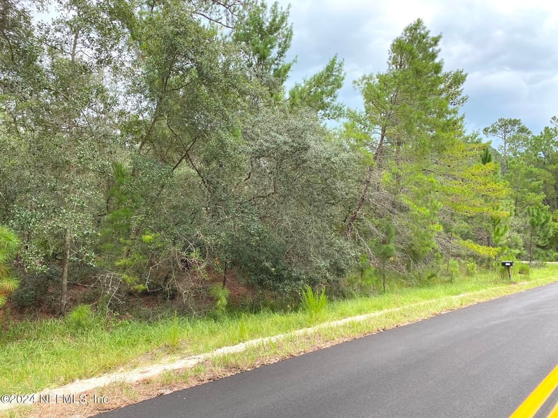 118 Spanish Trl, Georgetown, FL 32139