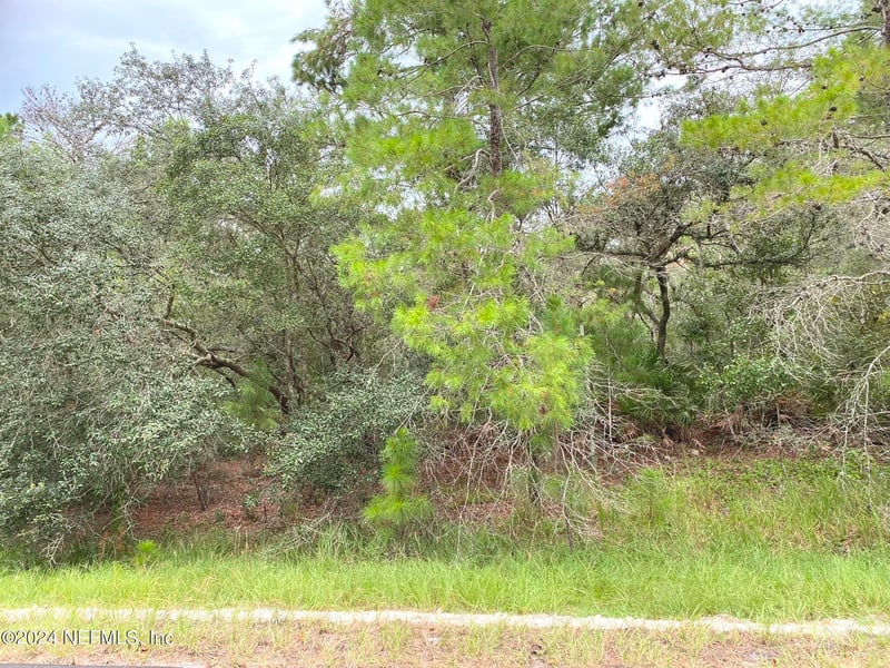 118 Spanish Trl, Georgetown, FL 32139