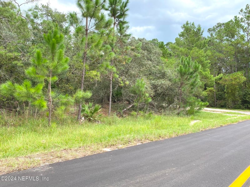 118 Spanish Trl, Georgetown, FL 32139