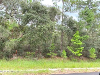 118 Spanish Trl, Georgetown, FL 32139