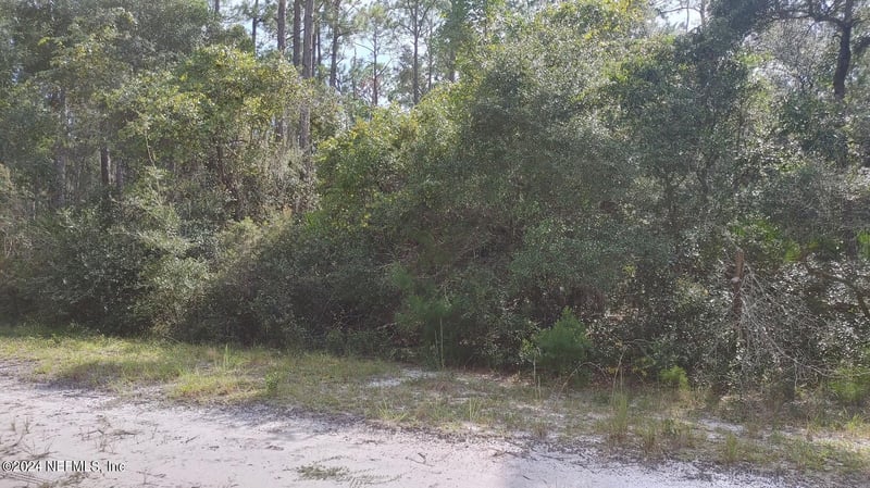 209 Ocala Ct, Georgetown, FL 32139