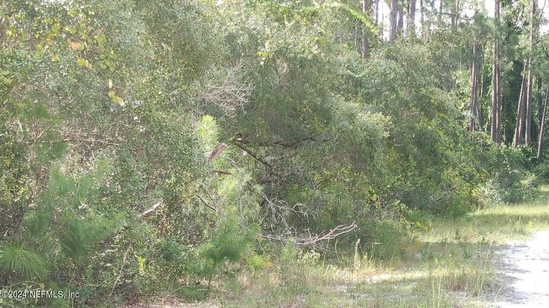 209 Ocala Ct, Georgetown, FL 32139