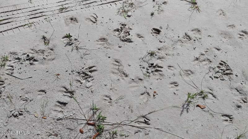 209 Ocala Ct, Georgetown, FL 32139