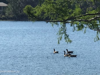 XX Simpson Dr, Interlachen, FL 32148