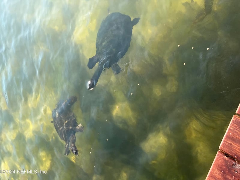 XX Simpson Dr, Interlachen, FL 32148