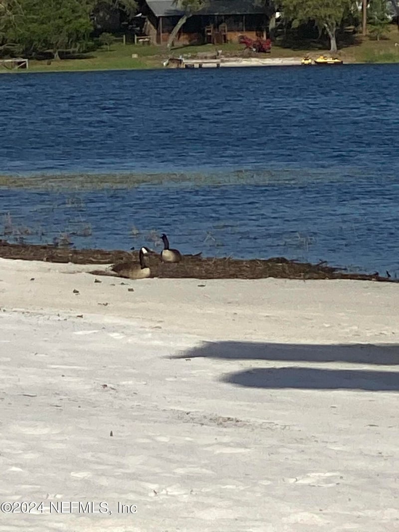 XX Simpson Dr, Interlachen, FL 32148