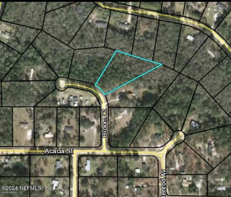 2373 Broom Ct, Middleburg, FL 32068