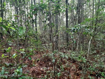 2373 Broom Ct, Middleburg, FL 32068