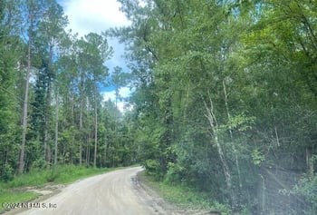 0 Osceola Trl, Middleburg, FL 32068