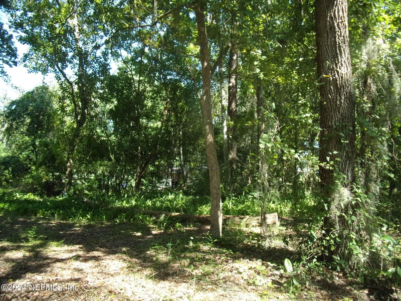 114 River Road Dr, Palatka, FL 32177