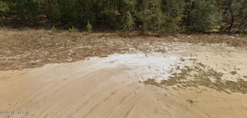 Morse Ave, Interlachen, FL 32148