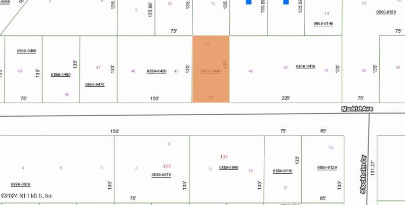 132 Madrid Ave, Interlachen, FL 32148