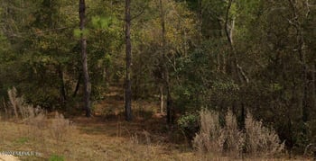 Michael Ave, Interlachen, FL 32148