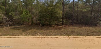 Michael Ave, Interlachen, FL 32148