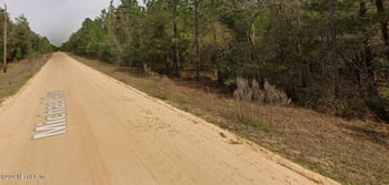 Michael Ave, Interlachen, FL 32148