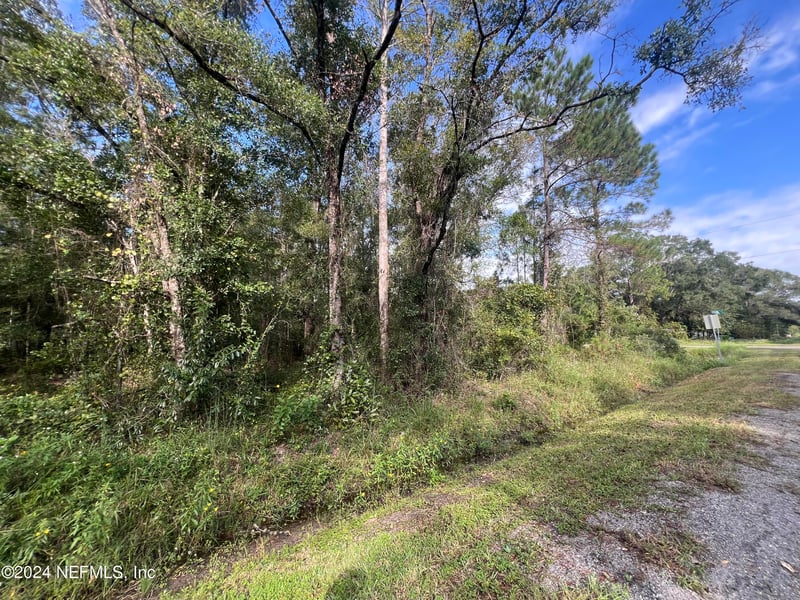 10305 Nikolich Ave, Hastings, FL 32145