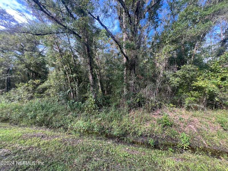 10305 Nikolich Ave, Hastings, FL 32145