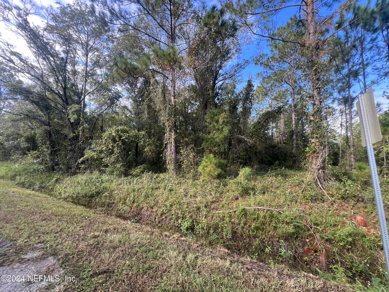 10305 Nikolich Ave, Hastings, FL 32145