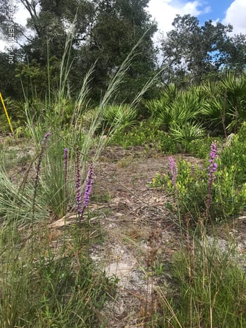 Summit Rd, Satsuma, FL 32189