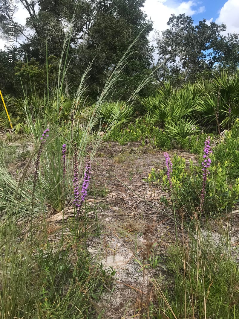 0 Summit Rd, Satsuma, FL 32189