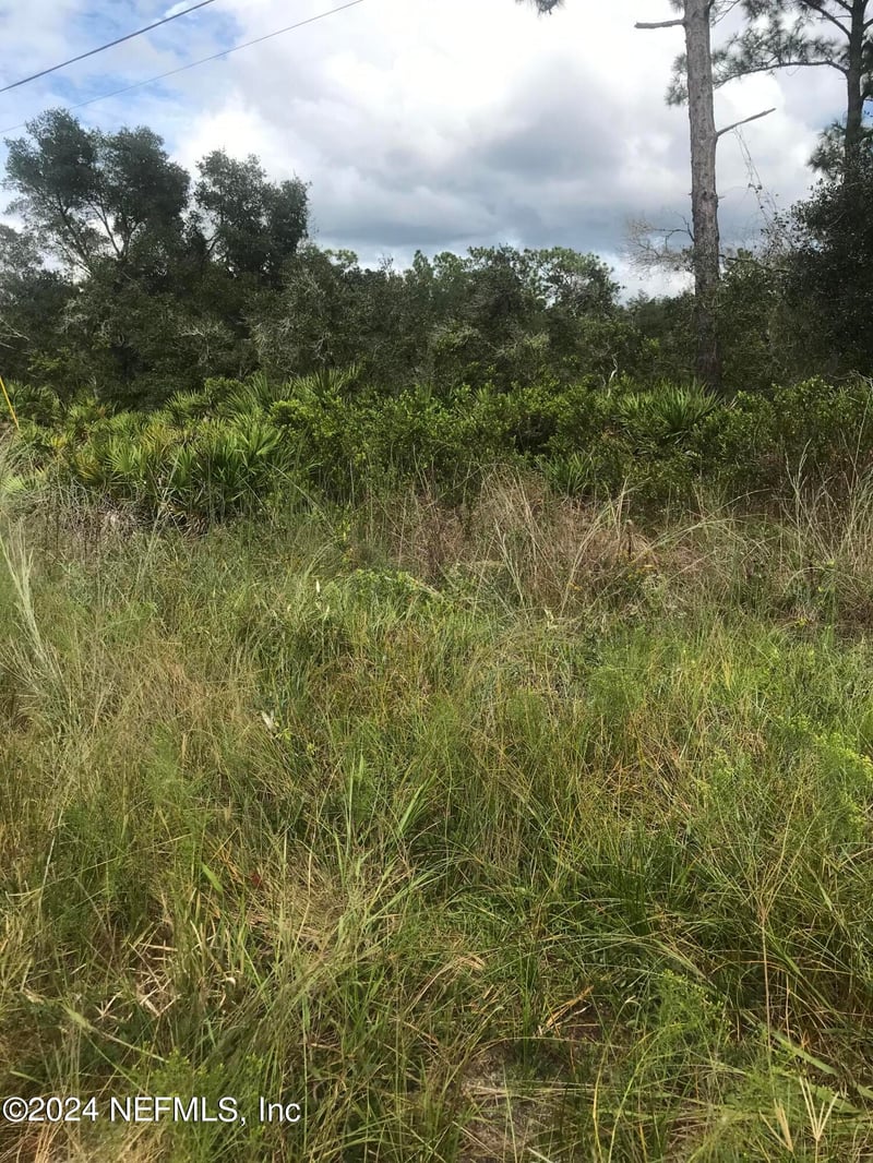 0 Summit Rd, Satsuma, FL 32189