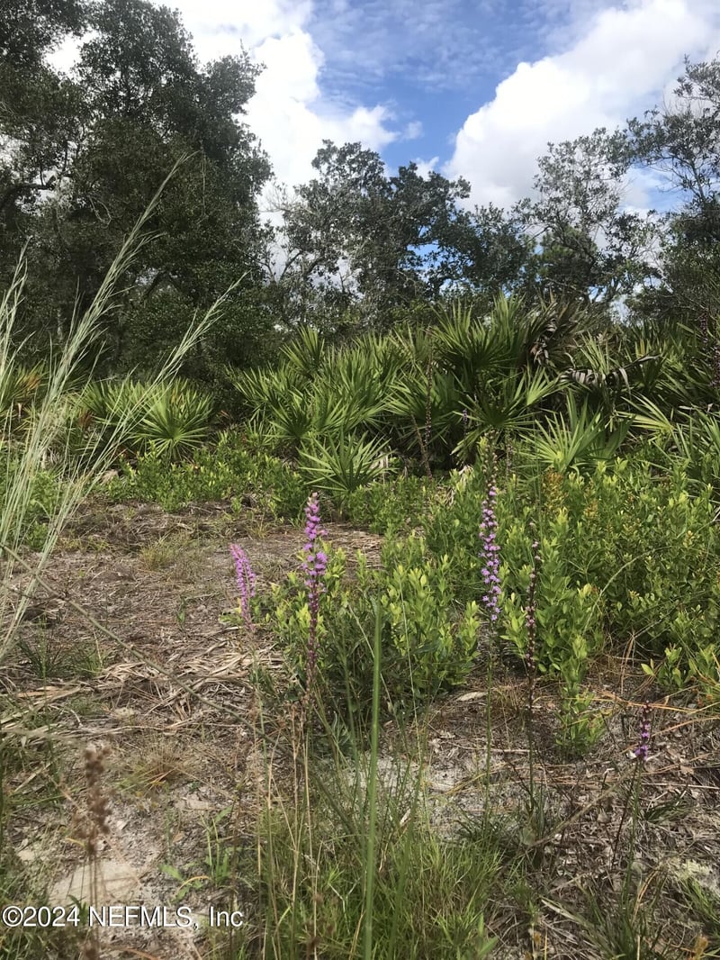 0 Summit Rd, Satsuma, FL 32189