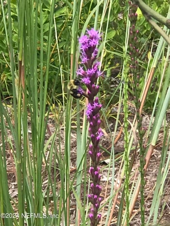 Summit Rd, Satsuma, FL 32189