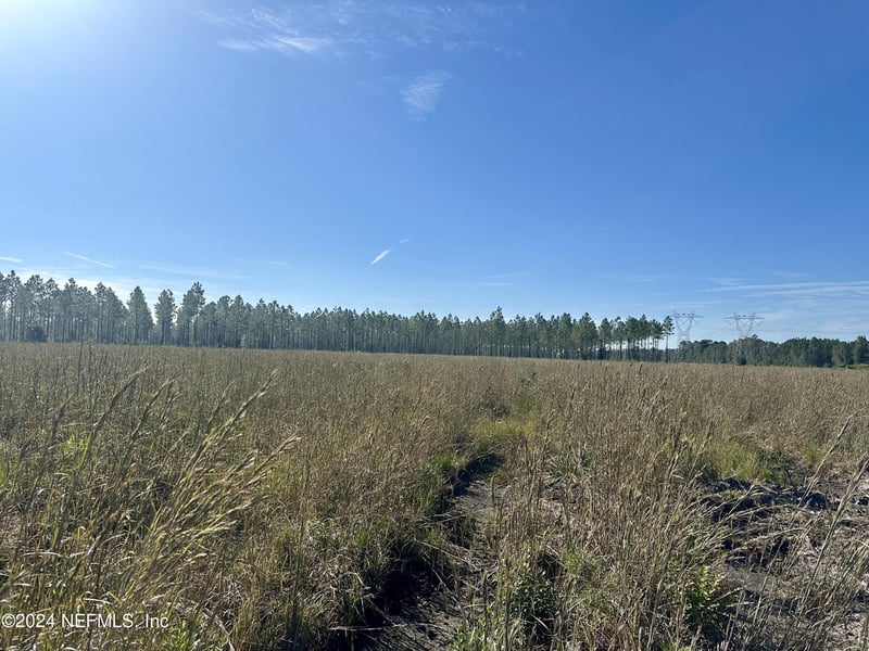 LOT 15 Andrews Rd, Hilliard, FL 32046