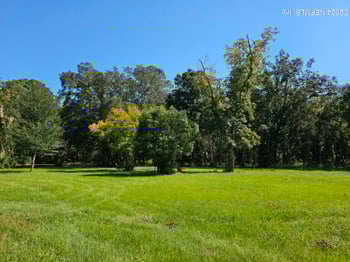 2620 Usina St, St Augustine, FL 32084