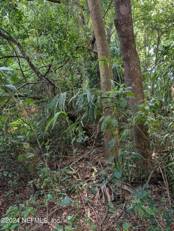 0 Atlantic Blvd, Jacksonville, FL 32207