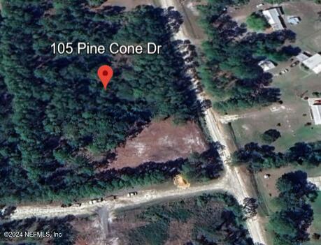 105 Pine Cone Dr, Georgetown, FL 32139