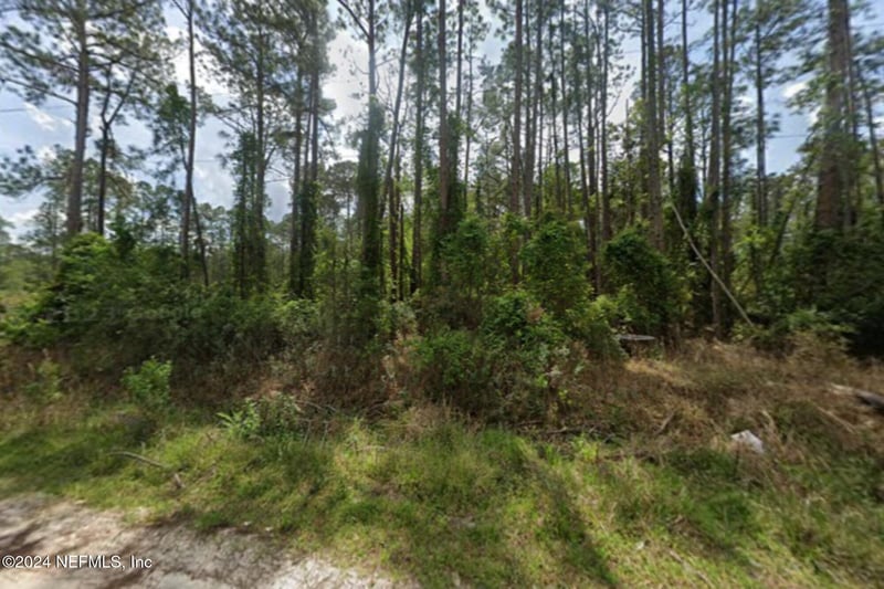 105 Pine Cone Dr, Georgetown, FL 32139