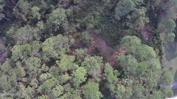 105 Pine Cone Dr, Georgetown, FL 32139