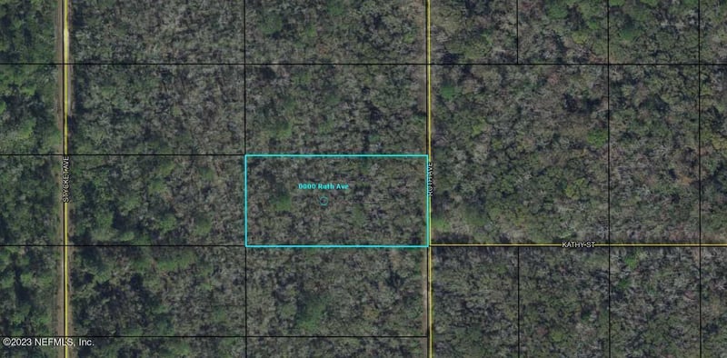 0000 Ruth Ave, Hastings, FL 32145