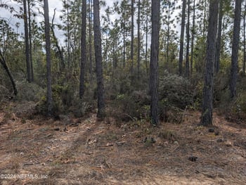 40 Frisco Ave, Interlachen, FL 32148