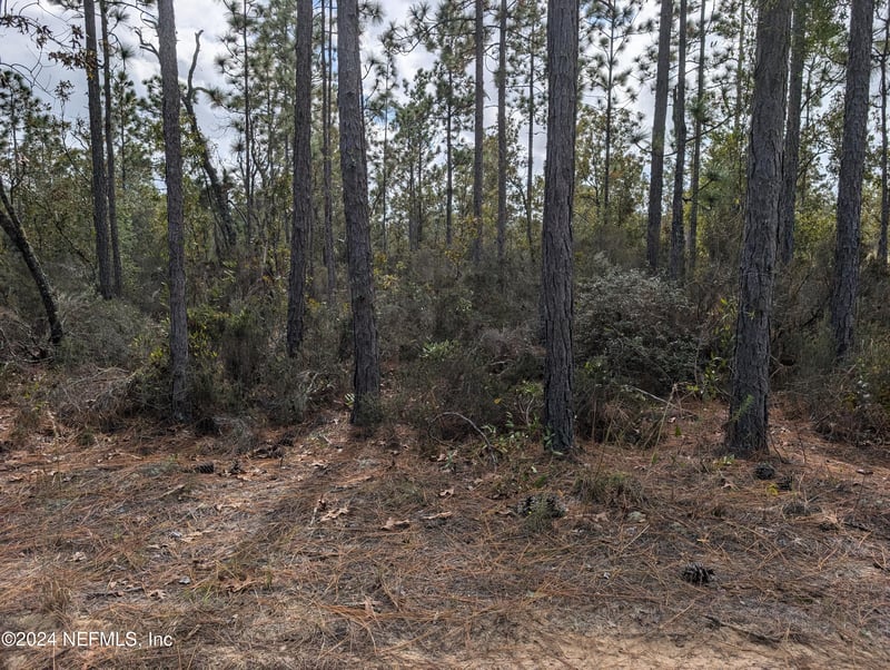 40 Frisco Ave, Interlachen, FL 32148