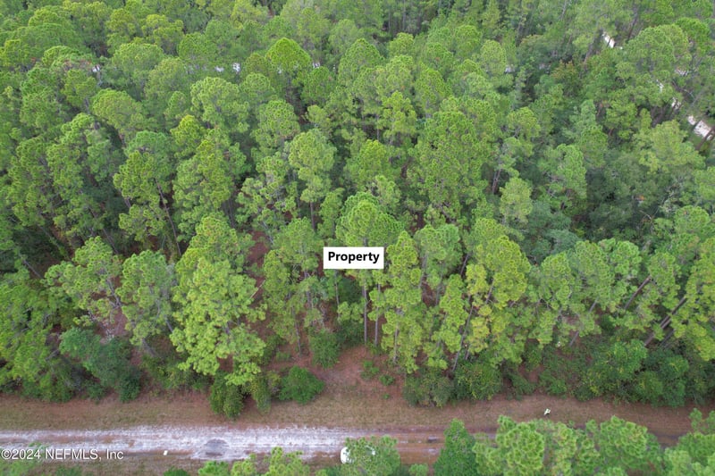 136 Helen Ave, Georgetown, FL 32139