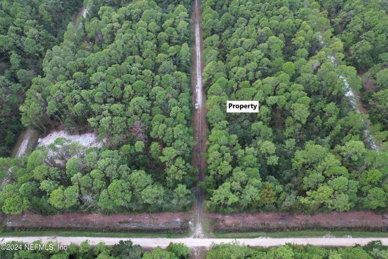 136 Helen Ave, Georgetown, FL 32139