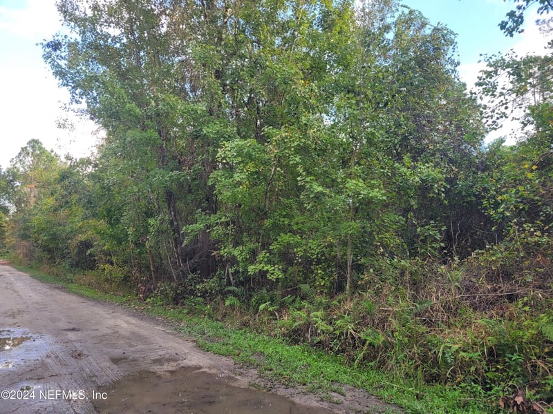 0 Logan Ave, Crescent, FL 32112