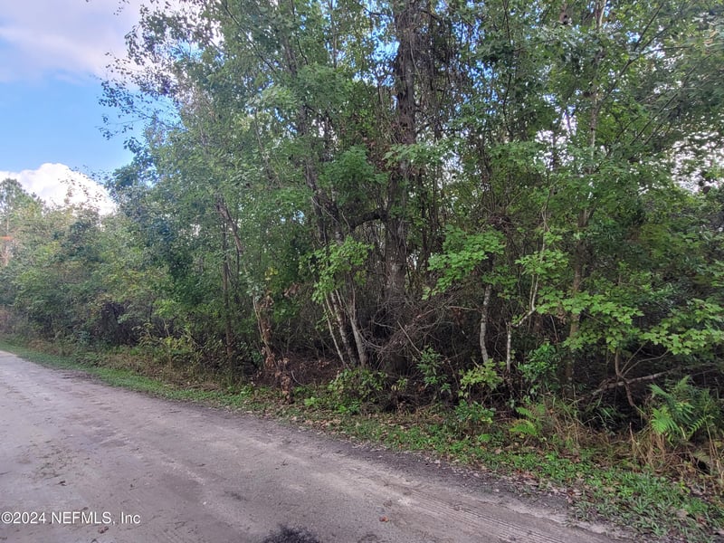 0 Logan Ave, Crescent, FL 32112