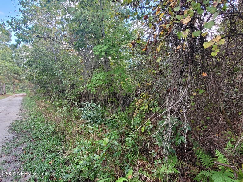 0 Logan Ave, Crescent, FL 32112