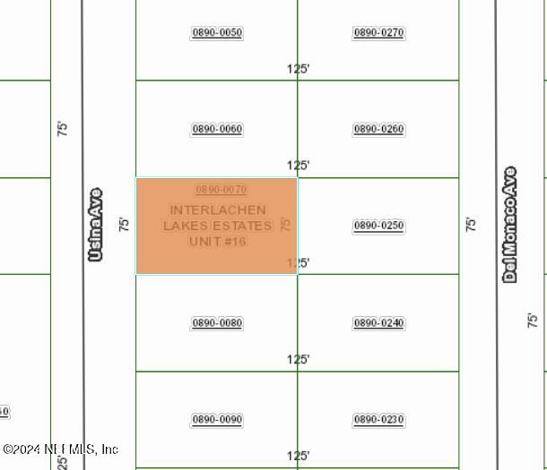 0 Usina Ave, Interlachen, FL 32148