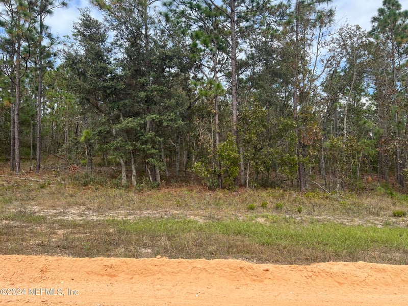 255 Melrose Landing Dr, Hawthorne, FL 32640