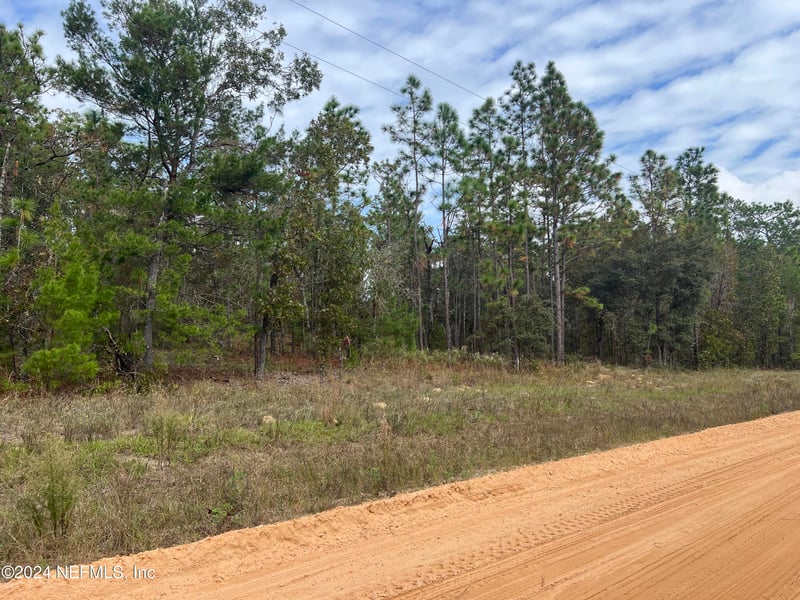 255 Melrose Landing Dr, Hawthorne, FL 32640