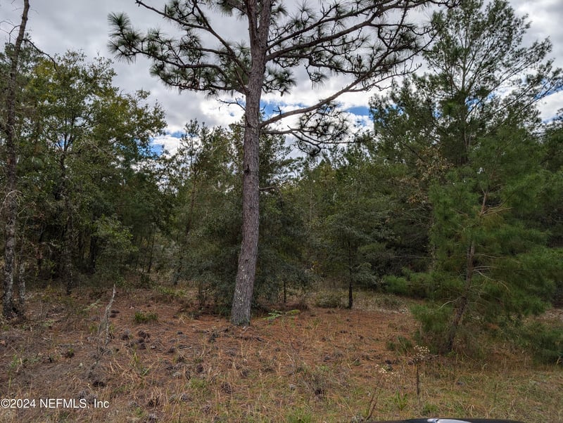 0200 Pine Way, Interlachen, FL 32148