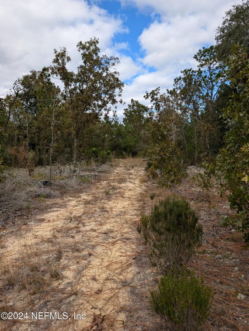 0310 Maple St, Interlachen, FL 32148