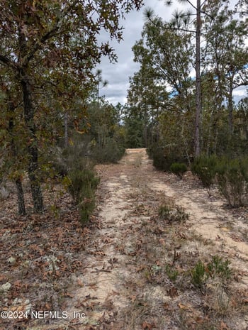 0310 Maple St, Interlachen, FL 32148