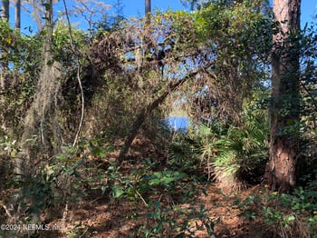 105 Palmer Dr, Interlachen, FL 32148