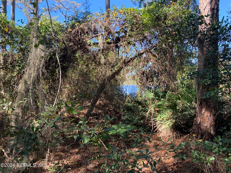 105 Palmer Dr, Interlachen, FL 32148