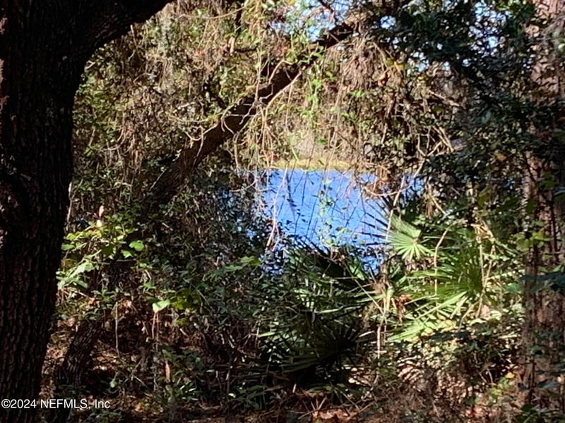 105 Palmer Dr, Interlachen, FL 32148